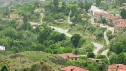 Կովսականը (Զանգելան)  կդառնա Ադրբեջանի, Իսրայելի և Իտալիայի համագործակցության կենտրոն․ Ջորջ Դիկ