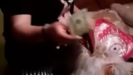 ՏԵՍԱՆՅՈՒԹ. 26-ամյա աղջիկը բարեկամի տնից 8200 դոլար է գողացել