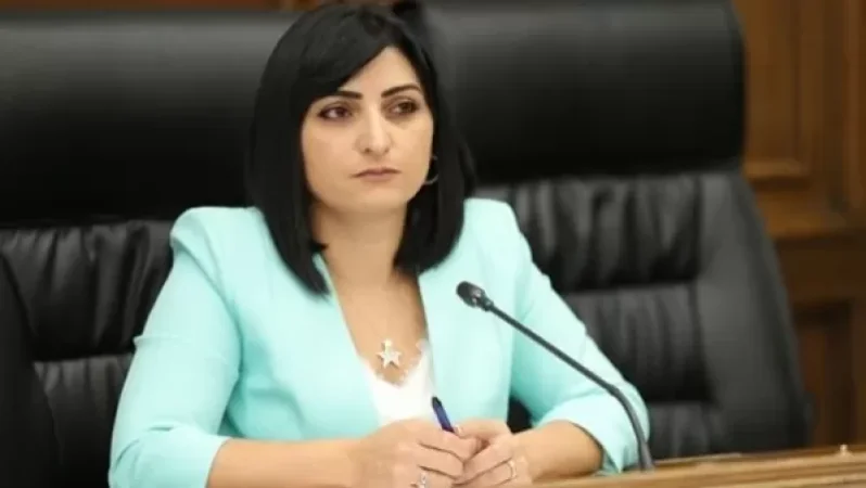 Միջազգային հանրությունը անթույլատրելի անտարբերություն է ցուցաբերում. Թովմասյանը` Արցախի շրջափակման մասին