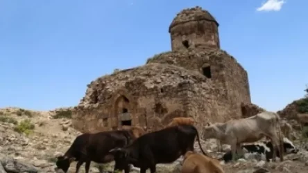 Վանի Սուրբ Թովմաս հայկական լքված վանքն ախոռի է վերածվել