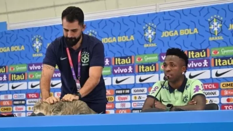 Բրազիլիայի ֆուտբոլի կոնֆեդերացիային դատի են տվել կատվի հետ վատ վարվելու համար