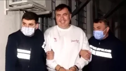 Եվրախորհրդարանի իրավաբանները Սաակաշվիլիին խնդրում են դադարեցնել հացադուլը