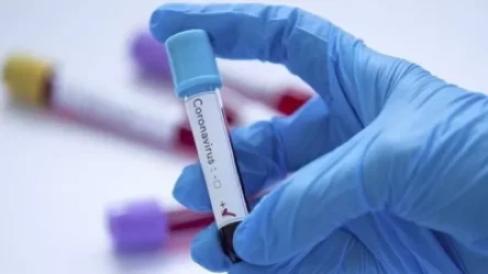 Վրաստան մուտք գործող մինչև 10 տարեկան երեխաների համար հանվել է ՊՇՌ թեստ ներկայացնելու պահանջը