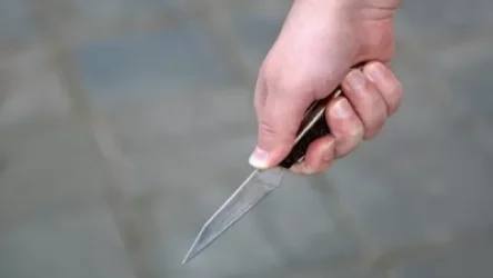 Բացահայտվել է անչափահասի կողմից երկու անձի դանակահարության դեպքը