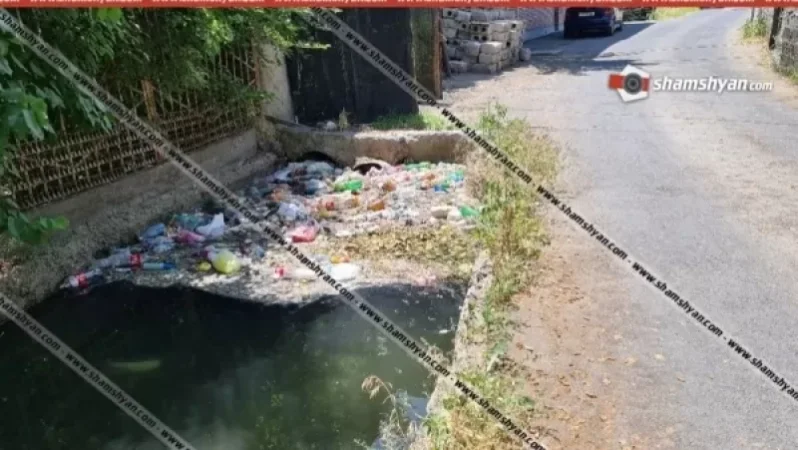 Կաշեգործների փողոցում բնակիչների թափած աղբի պատճառով տները լցվում են առնետներով