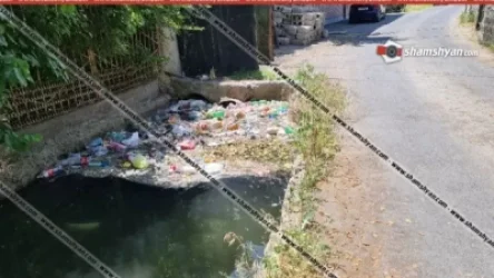 Կաշեգործների փողոցում բնակիչների թափած աղբի պատճառով տները լցվում են առնետներով