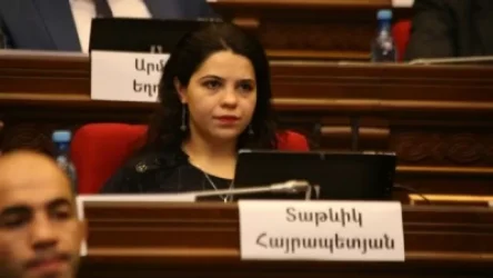 Զորքերի հայելային հետքաշման Փաշինյանի հայտարարությունը արձակեց Ադրբեջանի ձեռքերը. Տաթևիկ Հայրապետյան