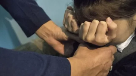 Կամչատկայում քրեական գործ է հարուցվել կնոջ դեմ, ով պաշտպանել է դստեր բռնաբարողին