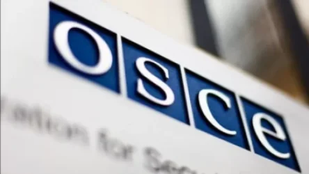 Ընտրությունները համապատասխանում էին օրենսդրությանը, ընտրողների իրավունքները հարգվել են. ԵԱՀԿ-ն` ընտրությունների մասին