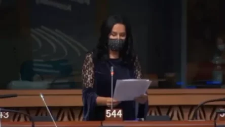 Նաիրա Զոհրաբյանը ԵԽԽՎ-ում բարձրացրել է հայ ռազմագերիների խնդիրը