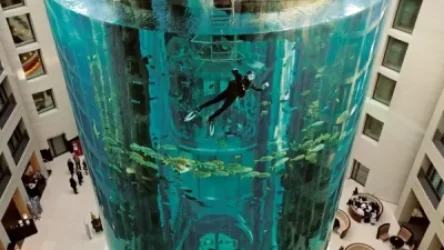 ՏԵՍԱՆՅՈՒԹ. Բեռլինում պայթել է 16 մետրանոց ակվարիումը. սատկել է 1500 ձուկ