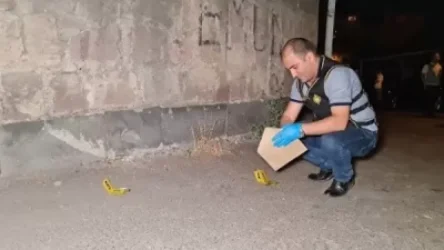 ՏԵՍԱՆՅՈՒԹ. Այգեստան թաղամասում երեկ կրակոցներ արձակած 42-ամյա տղամարդը բերման է ենթարկվել