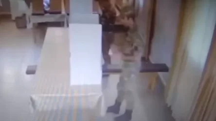 ՏԵՍԱՆՅՈՒԹ․ Զինվորներն ուղղորդվա՞ծ են ընտրություն կատարել․ Lurer