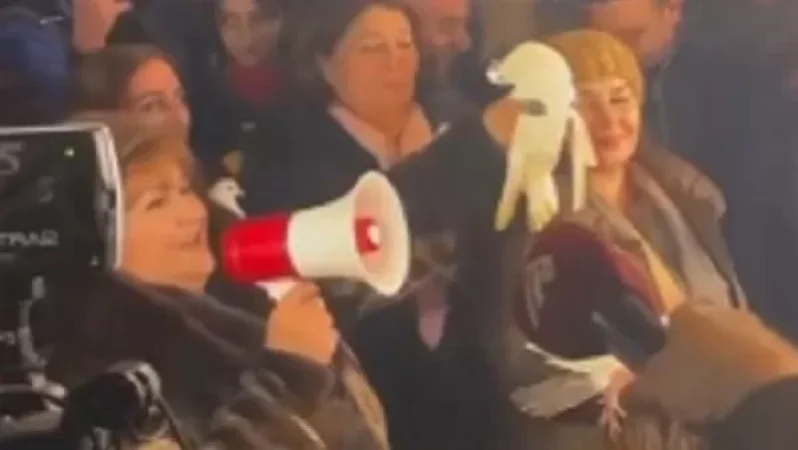 Աղավնուն սպանող «բնապահպան» տիկինը ասել է, որ թռչունը չի սատկել