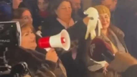 Աղավնուն սպանող «բնապահպան» տիկինը ասել է, որ թռչունը չի սատկել