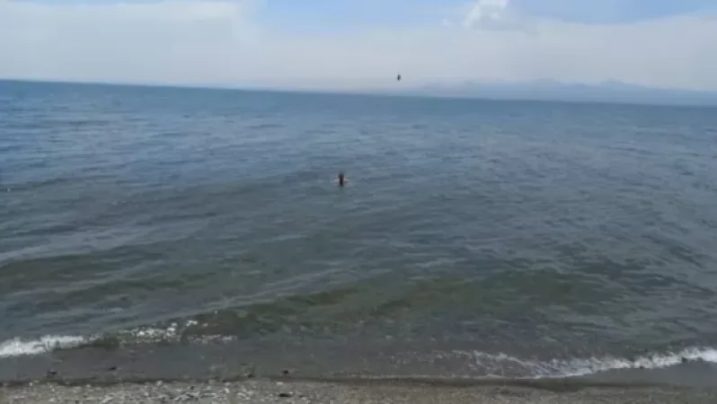 Գագիկ Սուրենյանը Սևանում է. ջուրը տաք է, ինչպես Կարմիր ծովում