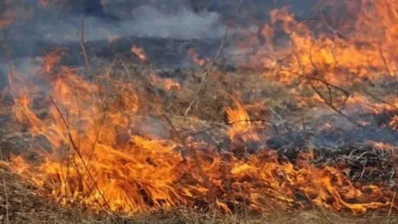 Էջմիածին- Արմավիր` ճանապարհի աջ և ձախ հատվածներում խոտածածկ տարածքներ են այրվում. Նախարարը դիմել է ոստիկանություն