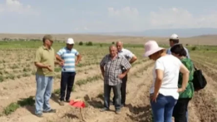 Արմավիրի Ակունք համայնքը արդեն 20 տարուց ավելի է ոռոգման ջրի խնդիր ունի․ գյուղի համայնքապետ. ArmDaily