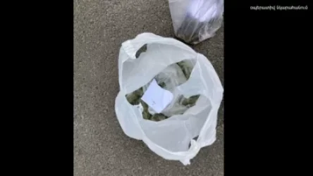 ՏԵՍԱՆՅՈՒԹ․ Իսպանիայից և Իրանից Հայաստան ապօրինի կերպով թմրամիջոց բերելու 2 դեպք է բացահայտվել․ ԱԱԾ