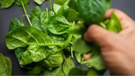 Ավելի քան 150 ավստրալացի թունավորվել է հալյուցինոգեն սպանախից. ինչ է հայտնի