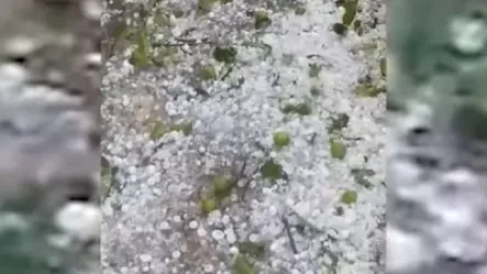 ՏԵՍԱՆՅՈՒԹ. Լոռիում տեղացած ուժգին կարկտի հետևանքները