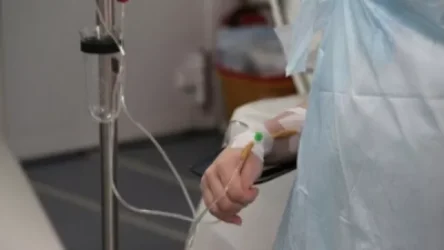 Սիբիրյան խոցի ախտանշաններով Գյումրու հիվանդանոց է տեղափոխվել 7 քաղաքացի