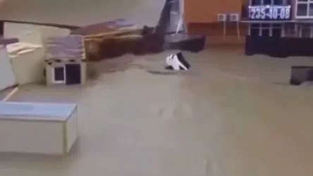 ՏԵՍԱՆՅՈՒԹ. Սոչիում կան վիրավորներ և զոհ