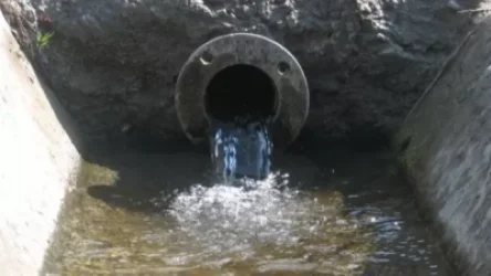 Բերդավանի այգիները կապահովվեն 24-ժամյա ոռոգման ջրով. Մարզպետարան