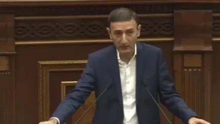 ՏԵՍԱՆՅՈՒԹ․ Խոպանիչները չեն հարկվելու․ Թունյանը մանրամասնեց