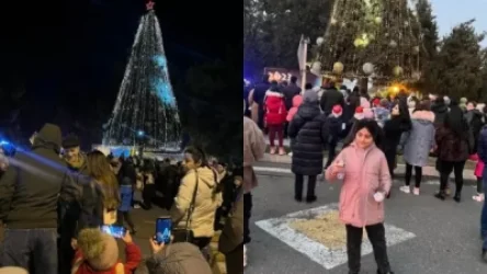 ՏԵՍԱՆՅՈՒԹ. Ստեփանակերտում մանուկների համար վառվել են տոնածառի լույսերը