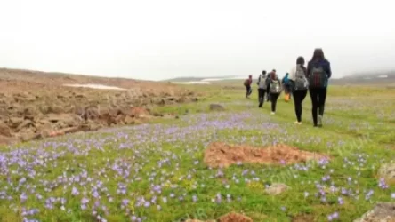 11 հոգանոց խումբը մոլորվել է Արագած լեռան գագաթ բարձրանալիս. չեն կարողանում իջնել