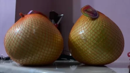 Պոմելոներով ամենախիտ քաղաքում ենք հիմա․ լրագրողը՝ Ստեփանակերտի մասին