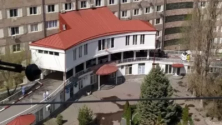 7 տարեկան երեխան հիվանդանոցում մահացել է, մայրը փորձել է պատուհանից նետել իրեն․ ArmLur