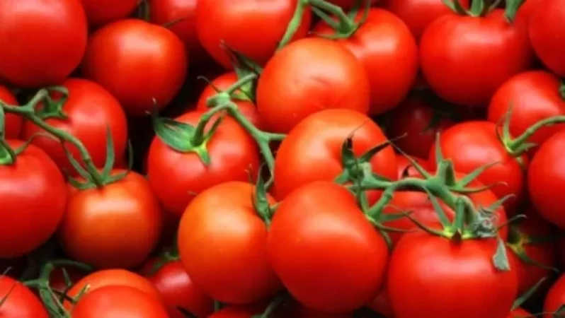 «Ռոսսելխոզնադզոր»-ը թույլ չի տվել Ռուսաստան մտցնել ադրբեջանական լոլիկն ու դեղձը