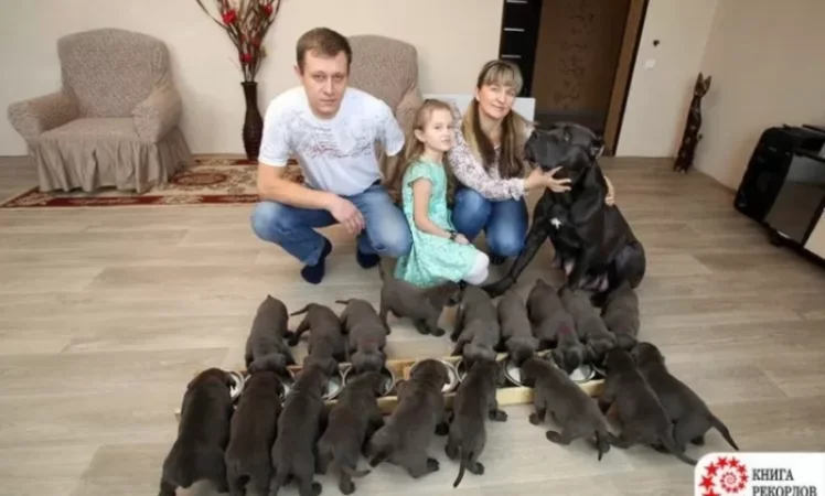 19 ձագ է լույս աշխարհ բերել ու հայտնվել ռեկորդների գրքում