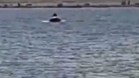 ՏԵՍԱՆՅՈՒԹ․ Ջրափրկարարներն ափ են դուրս բերել ջրահեղձվող քաղաքացու