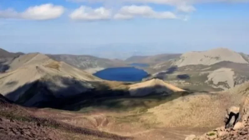 31 գլուխ խոշոր եղջերավոր անասուն երեկ գիշերն անցել է Սև լճի հարակից տարածք․ Tert.am