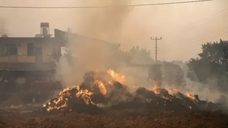 Էրդողանը անտառային հրդեհներից տուժած նահանգները հայտարարել է աղետի գոտի