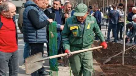 ՏԵՍԱՆՅՈՒԹ. Կասկադում կտրված թեղիների փոխարեն սակուրաներ են տնկում