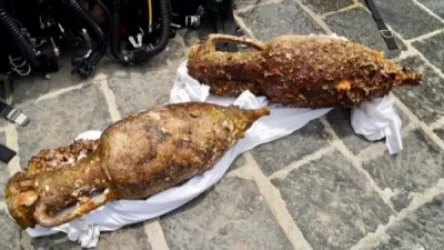 Սիցիլիայի ափերի մոտ գինու սափորներով լի հին հռոմեական նավ է հայտնաբերվել