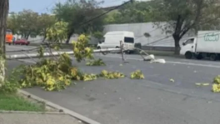 Արտաշիսյան փողոցում քամու հետևանքով սյուն է ընկել