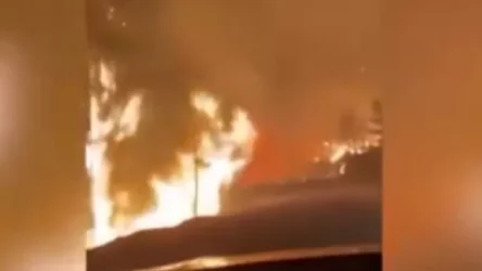 ՏԵՍԱՆՅՈՒԹ. Ինչ իրավիճակ է Թուրքիայում. Տուրունչ ավանն ամբողջությամբ տարհանվել է մոլեգնող հրդեհների պատճառով