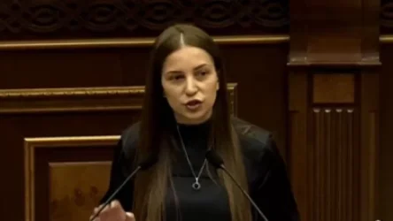 Գաղտնի հուշագրի արդյունքում է, որ ադրբեջանցիները տեղակայվել են Սյունիքում և Գեղարքունիքում․ Աննա Գրիգորյան