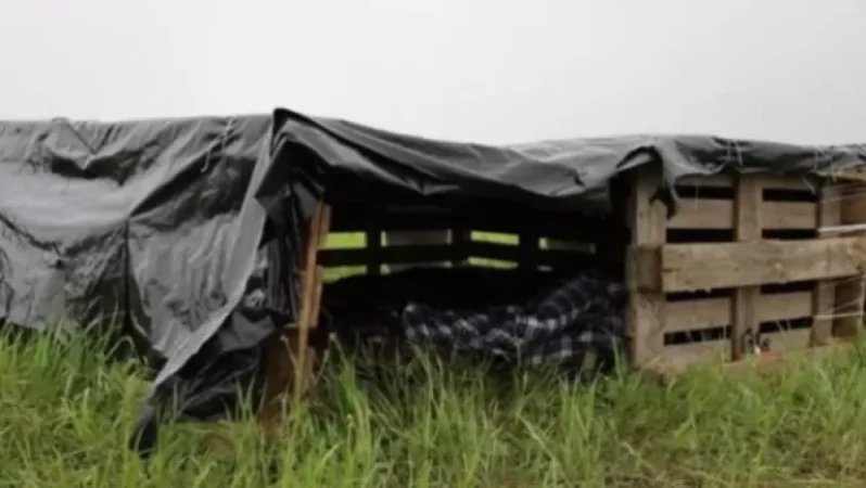 Ադրբեջանցիներն անտառներ են կտրում ու ստրատեգիական ճանապարհներ կառուցում, իսկ մեր մոտ «ցելոֆանով բուդկան» խփել, կանգնել են. Ճակատենի վարչական ղեկավար