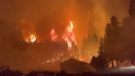 ՏԵՍԱՆՅՈՒԹ. Խոշոր անտառային հրդեհներ Կալիֆորնիայում