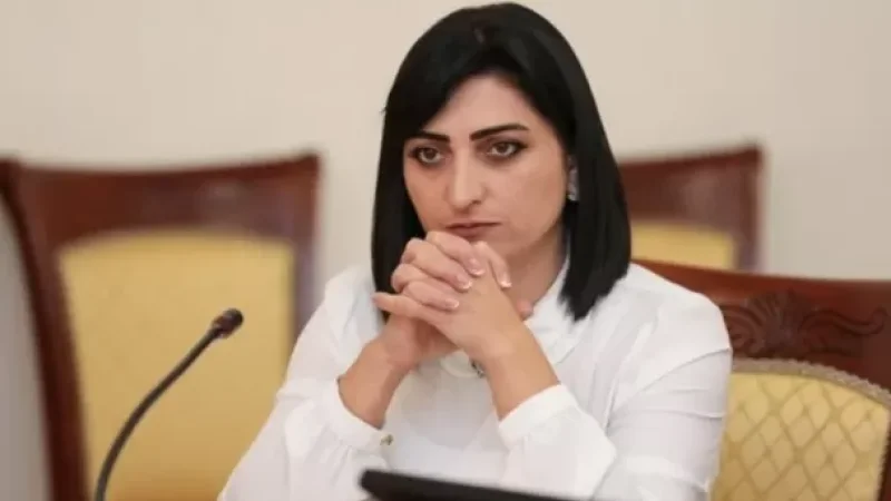 Անհետ կորածներին վաղուց չեն որոնում. Թովմասյանը՝ Փաշինյանի հայտարարության մասին