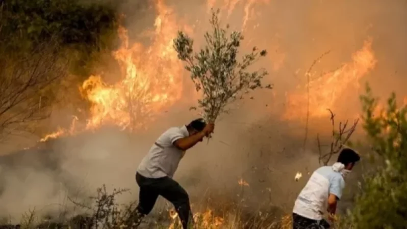 Հայտնի է Թուրքիայի հրդեհների պատճառած վնասի չափը