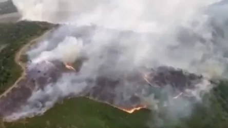 ՏԵՍԱՆՅՈՒԹ. Գաբալայում խոշոր անտառային հրդեհ է բռնկվել