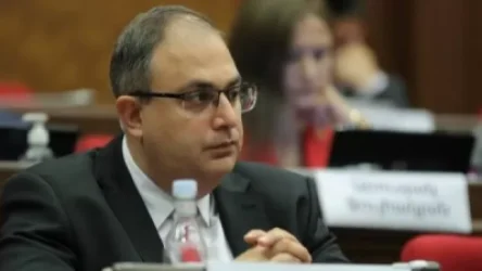 Ծեծկռտուք լուսաբանելը մեդիայի գործառույթը չէ. Վլադիմիր Վարդանյան