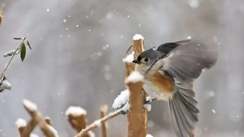 Առաջիկա օրերի եղանակի տեսությունը
